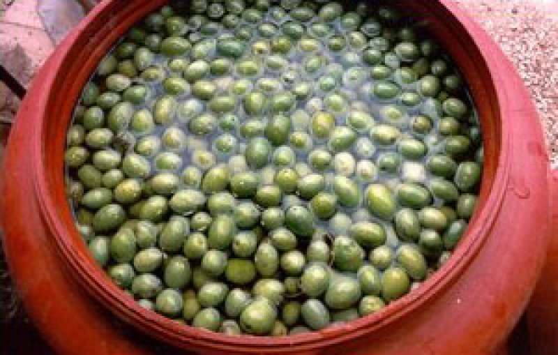 olive ascolane del piceno 4