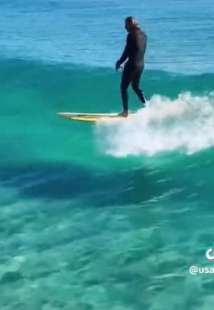 surfista con pitone 3
