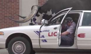 toro viaggia in auto in nebraska 5