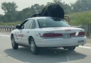 toro viaggia in auto in nebraska 6