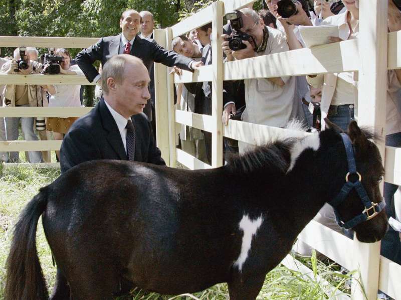 il cavallo nano donato da berlusconi a putin nel 2005