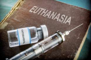 eutanasia 2