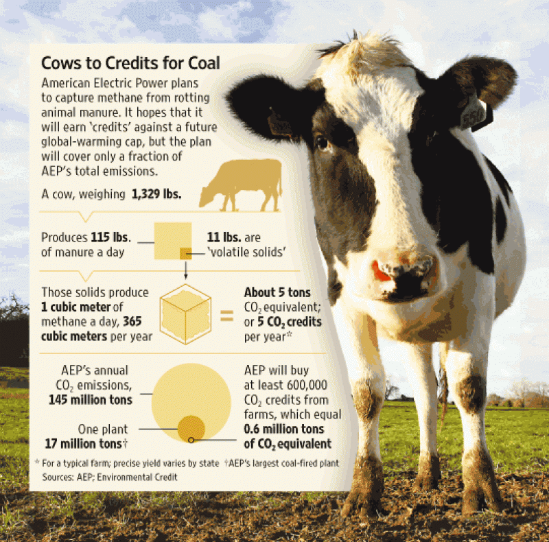 Сколько коров в мире. Коровы и метан. Метан из коровы. Коровы выделяют метан. Метан парниковый ГАЗ коровы.