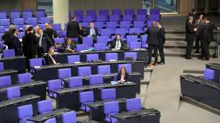 afd in parlamento 3