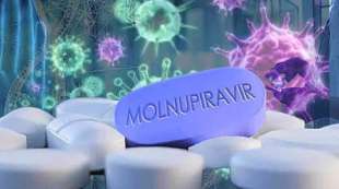 il molnupiravir funziona contro il covid 8
