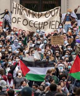 harvard - manifestazione pro palestina