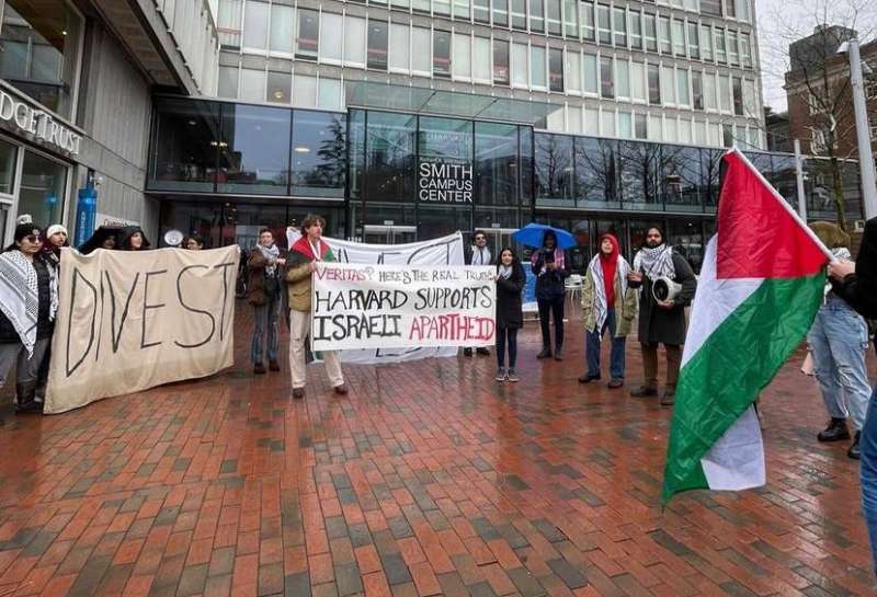 harvard palestine solidarity group 6