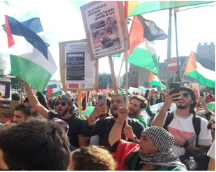 manifestazione per la palestina a roma
