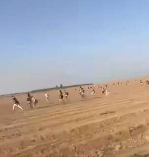 ragazzi al rave in fuga dai miliziani di hamas nel deserto 2