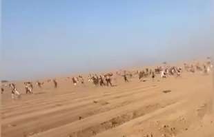 ragazzi al rave in fuga dai miliziani di hamas nel deserto 3