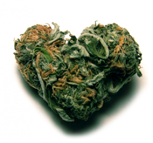 siti di incontri per amanti della marijuana