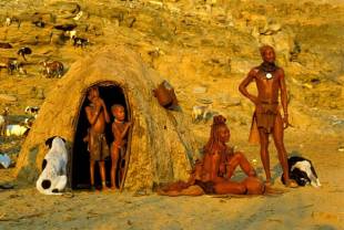 famiglia zulu
