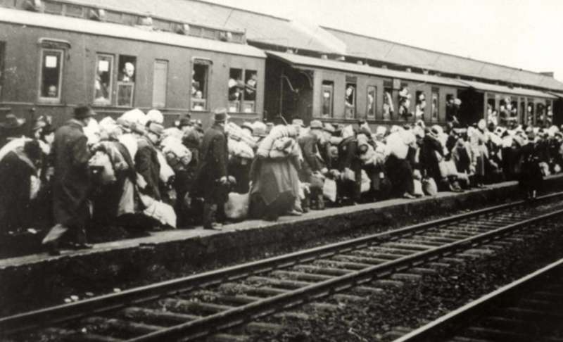 treno olocausto 2