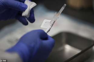 ricerche sul vaccino di coronavirus in florida