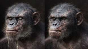 apes revolution 1