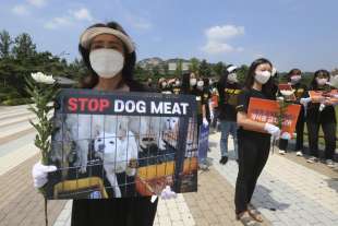 Attivisti contro la carne di cane in Corea del Sud