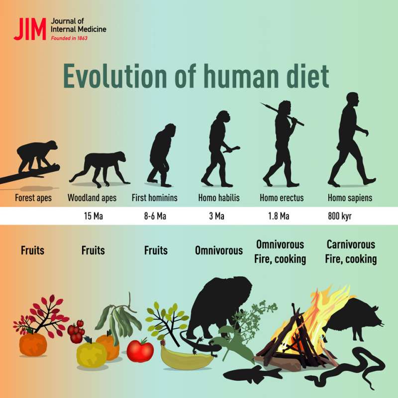 evoluzione della dieta umana 2
