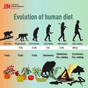 evoluzione della dieta umana 2