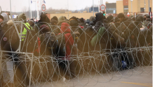 migranti al confine polonia bielorussia