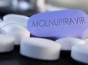 molnupiravir.