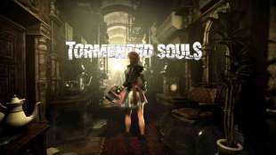 tormented souls 2