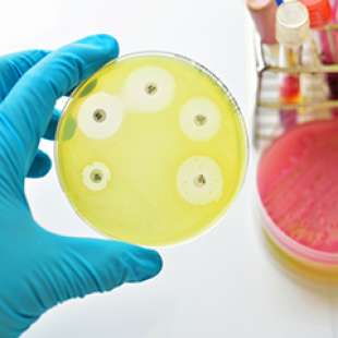 batterio antibiotico resistente 4