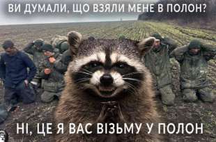 meme sul procione rapito dai russi allo zoo di kherson 2