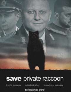 meme sul procione rapito dai russi allo zoo di kherson 4