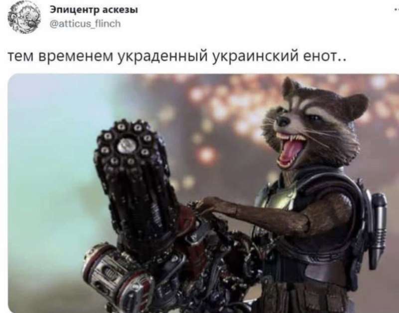 meme sul procione rapito dai russi allo zoo di kherson 8