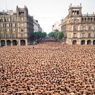 migliaia di persone nude a sidney foto di spencer tunick 12