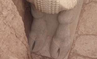 lamassu scoperto in iraq 3