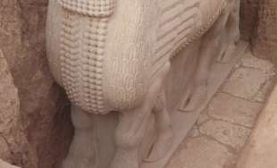 lamassu scoperto in iraq 6