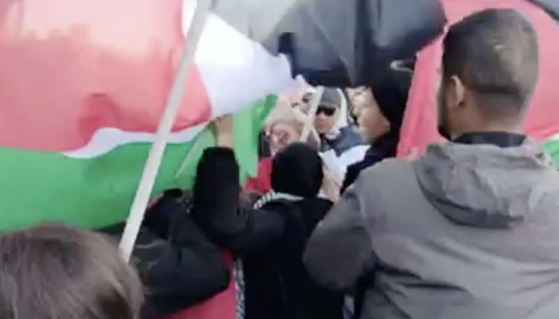 signora strattonata dai filo palestinesi alla manifestazione contro la violenza sulle donne 1