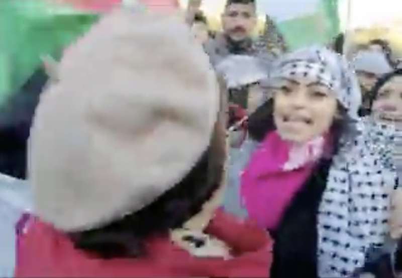 signora strattonata dai filo palestinesi alla manifestazione contro la violenza sulle donne 3