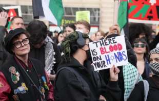 susan sarandon e le proteste pro palestina 4