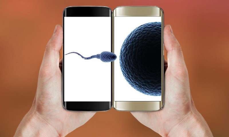 uso del cellulare e qualita dello sperma 9