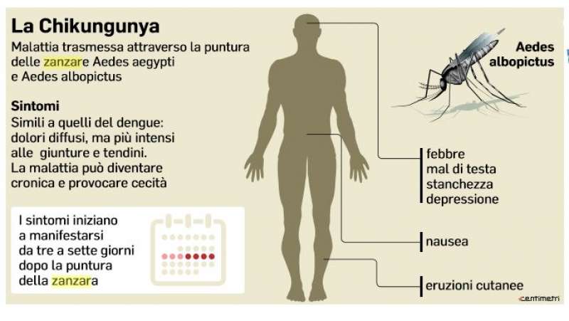 virus chikungunya 4