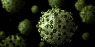 virus hiv