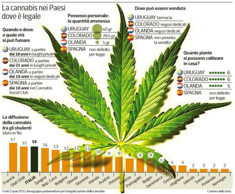 cannabis legale 2