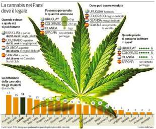 cannabis legale 2