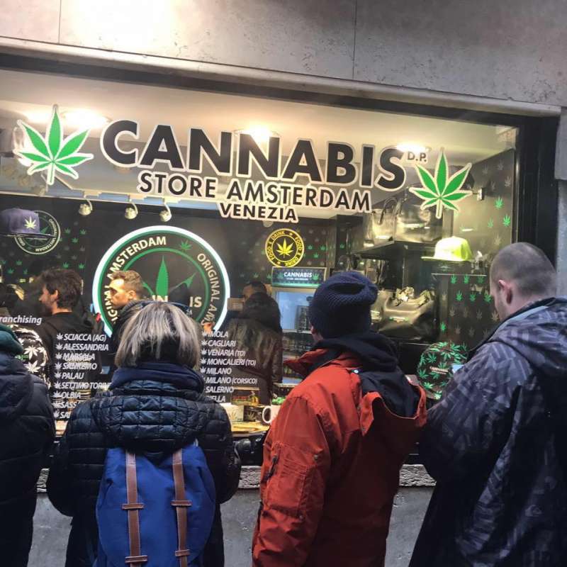 фестиваль марихуаны в амстердаме