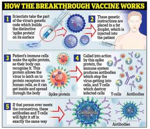 come funziona il vaccino contro il coronavirus