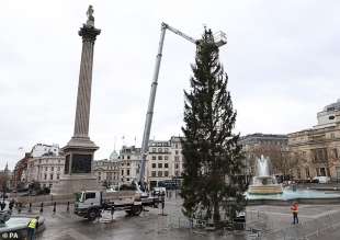 Installazione albero di Natale a Londra 2
