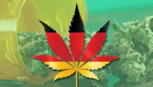 marijuana germania 6