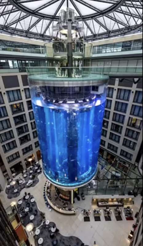 acquario aqua dom all hotel radisson blu di berlino