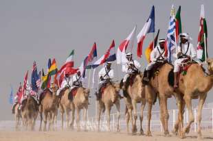 camel beauty contest in qatar 6