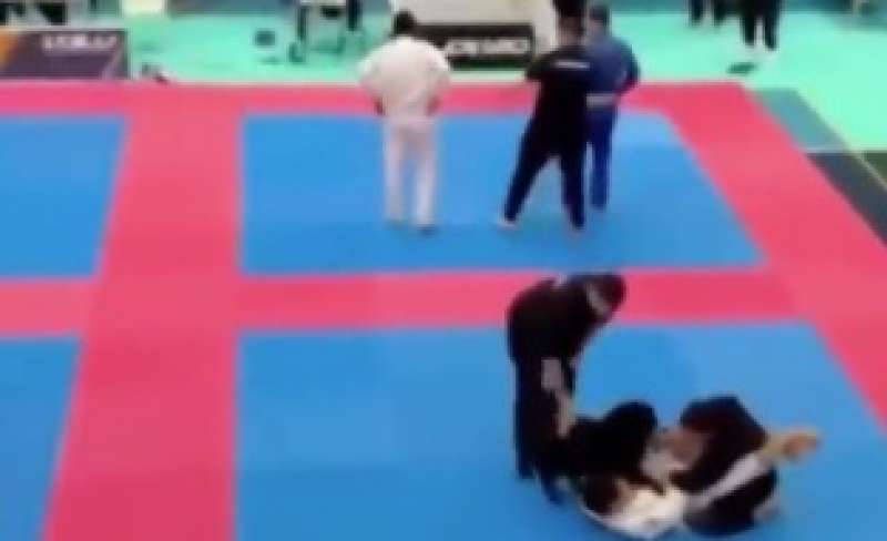 cane aiuta il padrone durante la gara di jiu jitsu 6