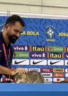 gatto cacciato durante la conferenza stampa 1