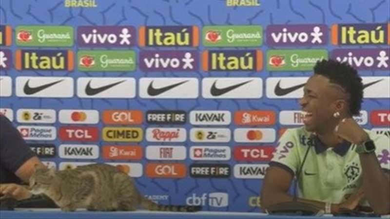 gatto cacciato durante la conferenza stampa 3