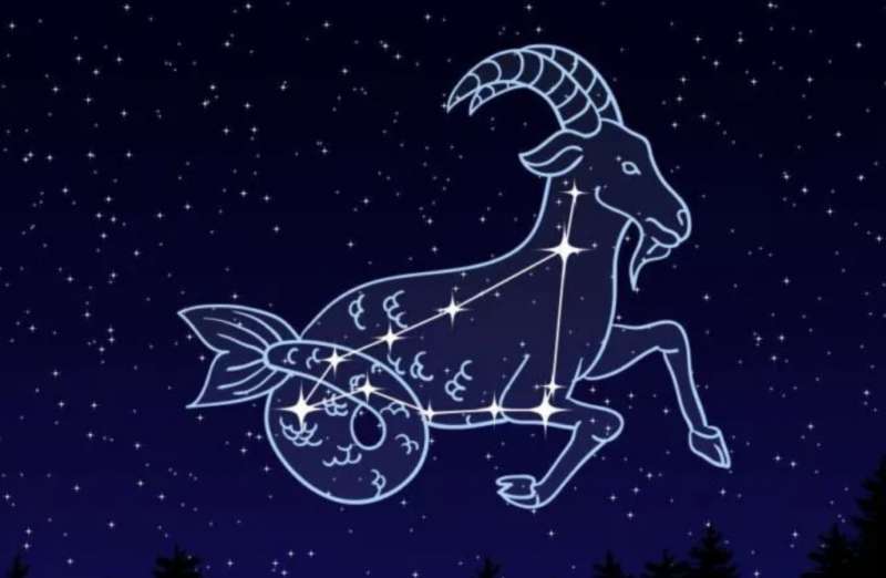 segno zodiacale capricorno 6